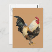 Abgeschiedener Hahn Postkarte (Vorne/Hinten)