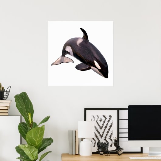 Abgeschiedener Killerwal Poster (Heimbüro)