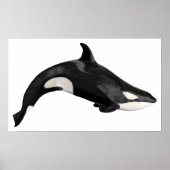 Abgeschiedener Killerwal Poster (Vorne)