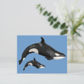 Abgeschiedener Killerwal Postkarte (Stehend Vorderseite)