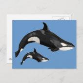 Abgeschiedener Killerwal Postkarte (Vorne/Hinten)