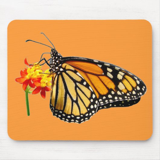 Abgeschiedener Monarchfalter Mousepad (Vorne)