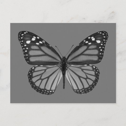 Abgeschiedener Monarchschmetterling PNG Postkarte (Vorderseite)