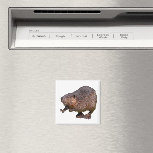 Abgeschiedener nordamerikanischer Beaver-Postkarte Magnet (In Situ (Geschirrspüler))