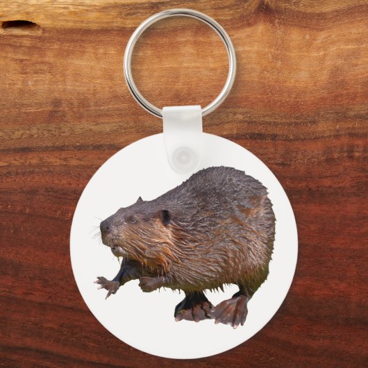 Abgeschiedener nordamerikanischer Beaver-Postkarte Schlüsselanhänger (Vorderseite)