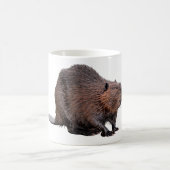 Abgeschiedener nordamerikanischer Biber Kaffeetasse (Mittel)