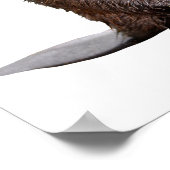 Abgeschiedener nordamerikanischer Biber Poster (Ecke)