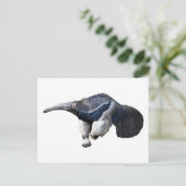 Abgeschiedener Riese Anteater Postkarte (Stehend Vorderseite)