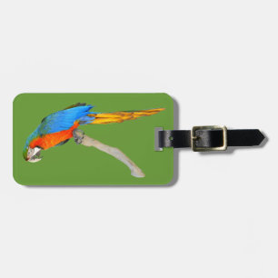 Abgeschiedener Scharlachrot Gepäckanhänger