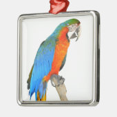 Abgeschiedener Scharlachrot Ornament Aus Metall (Links)