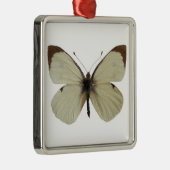 Abgeschiedener Weiße Schmetterling Ornament Aus Metall (Rechts)