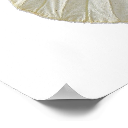 Abgeschiedener Weißer Schmetterling PNG Poster (Ecke)