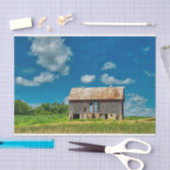 Abgeschiedener Wetterstall auf Steinen "Stilts" Seidenpapier (Handwerk)