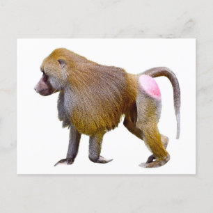 Abgeschiedenes Babolaufen Postkarte