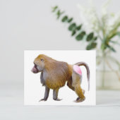 Abgeschiedenes Babolaufen Postkarte (Stehend Vorderseite)