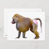 Abgeschiedenes Babolaufen Postkarte (Vorne/Hinten)