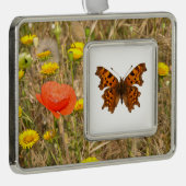 Abgeschiedenes Commandschmetterling Postkarte Post Rahmen-Ornament Silber (Rechts)