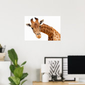 Abgeschiedenes Portrait von Giraffe PNG Poster (Heimbüro)
