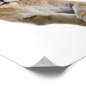 Abgeschiedenes Porträt von lioness Postcard Klassi Poster (Ecke)