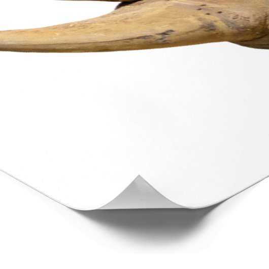 Abgeschiedenes Rhinozeros Poster (Ecke)