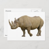 Abgeschiedenes Rhinozeros Postkarte (Vorne/Hinten)