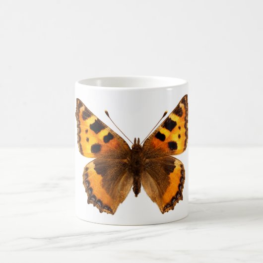 Abgeschiedenes Schildkrötenschmetterling Kaffeetasse (Mittel)