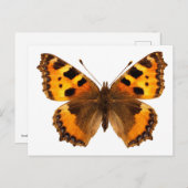 Abgeschiedenes Schildkrötenschmetterling Postkarte (Vorne/Hinten)