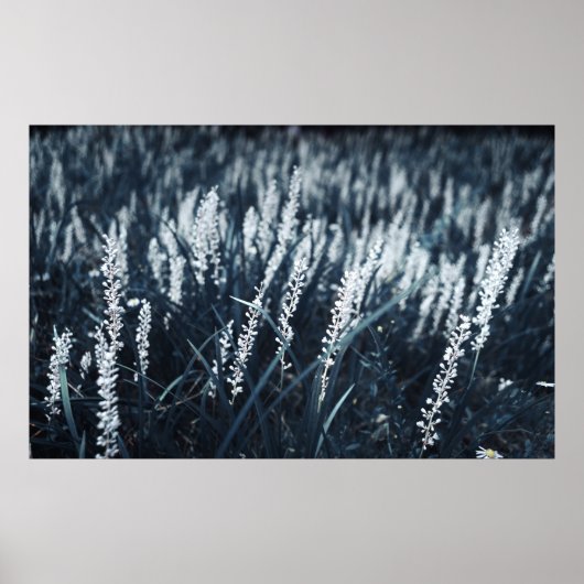 ABGESCHLOSSENE FOTOGRAFIE DER GRÜNGELEITETEN PFLAN POSTER (Vorne)