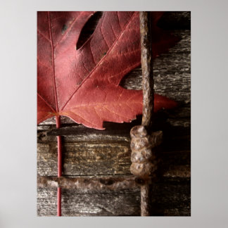 abgetragen und verwittert poster