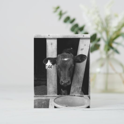 abgewöhnt postkarte (Stehend Vorderseite)