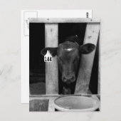 abgewöhnt postkarte (Vorne/Hinten)