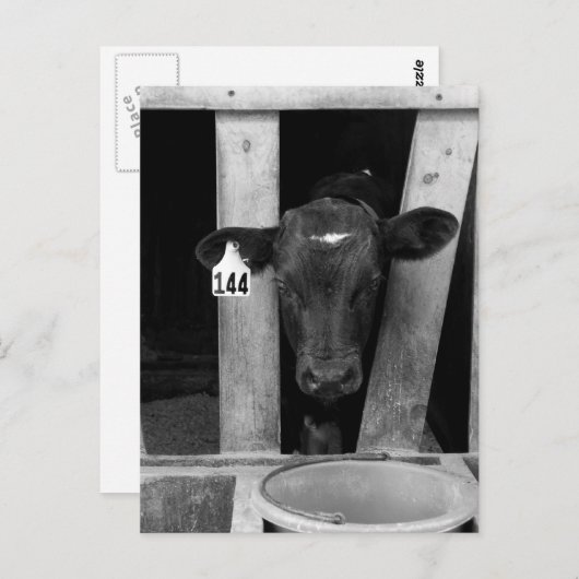 abgewöhnt postkarte (Vorne/Hinten)