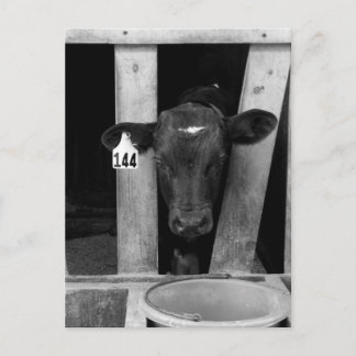 abgewöhnt postkarte