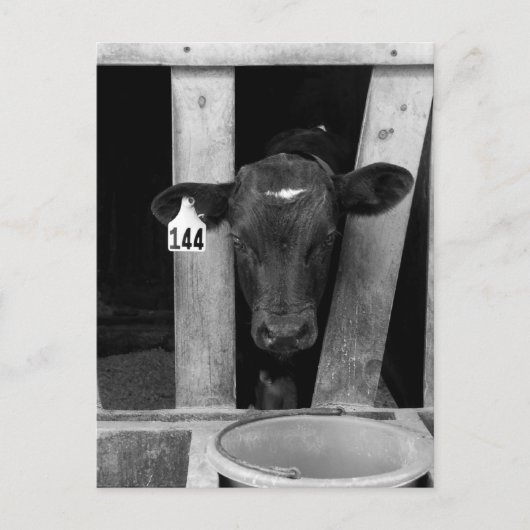 abgewöhnt postkarte (Vorderseite)