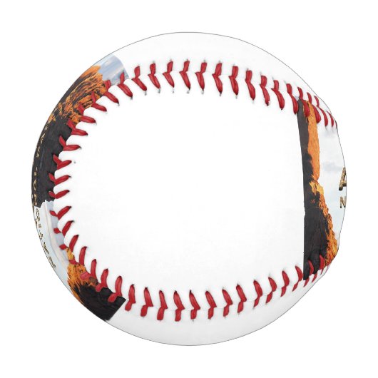 ABH Arches Baseball (Vorderseite Links)