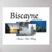 ABH Biscayne Poster (Vorne)