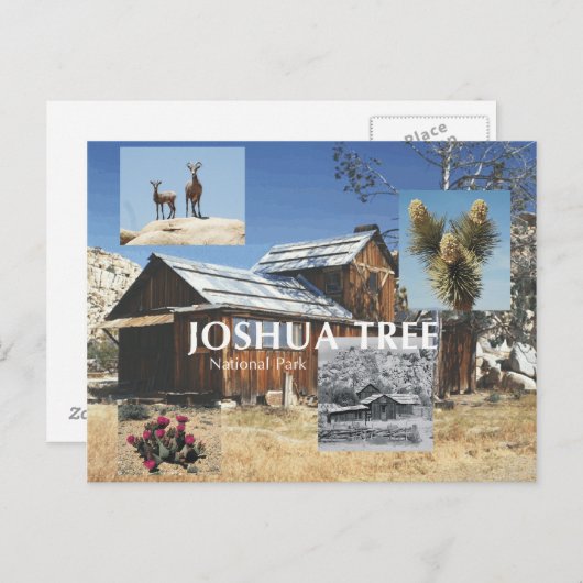 ABH Joshua Tree Postkarte (Vorne/Hinten)