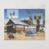 ABH Joshua Tree Postkarte (Vorderseite)