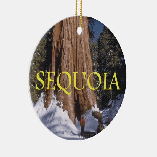 ABH Mammutbaum Keramik Ornament (Rechts)