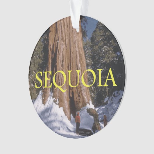 ABH Mammutbaum Ornament (Vorderseite)