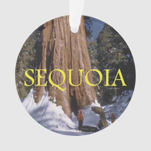 ABH Mammutbaum Ornament (Vorderseite)