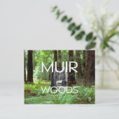 ABH Muir Woods Postkarte (Stehend Vorderseite)