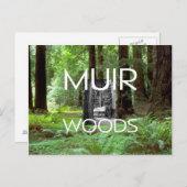 ABH Muir Woods Postkarte (Vorne/Hinten)