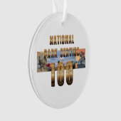 ABH National Park Service 100 Ornament (Vorderseite)