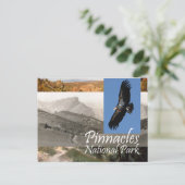 ABH Pinnacles NP Postkarte (Stehend Vorderseite)