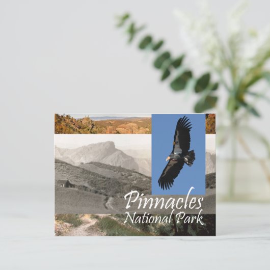 ABH Pinnacles NP Postkarte (Stehend Vorderseite)