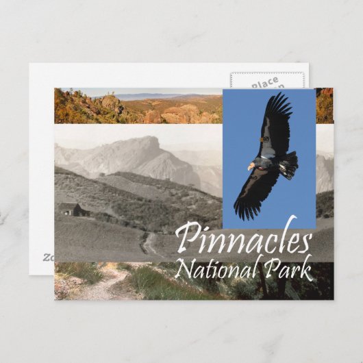 ABH Pinnacles NP Postkarte (Vorne/Hinten)