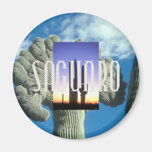 ABH Saguaro Magnet (Vorne)