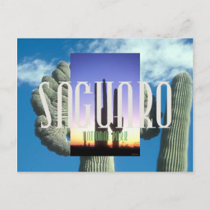 ABH Saguaro Postkarte