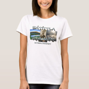 ABH Satittla National Monument NM Ladys T - Shirt